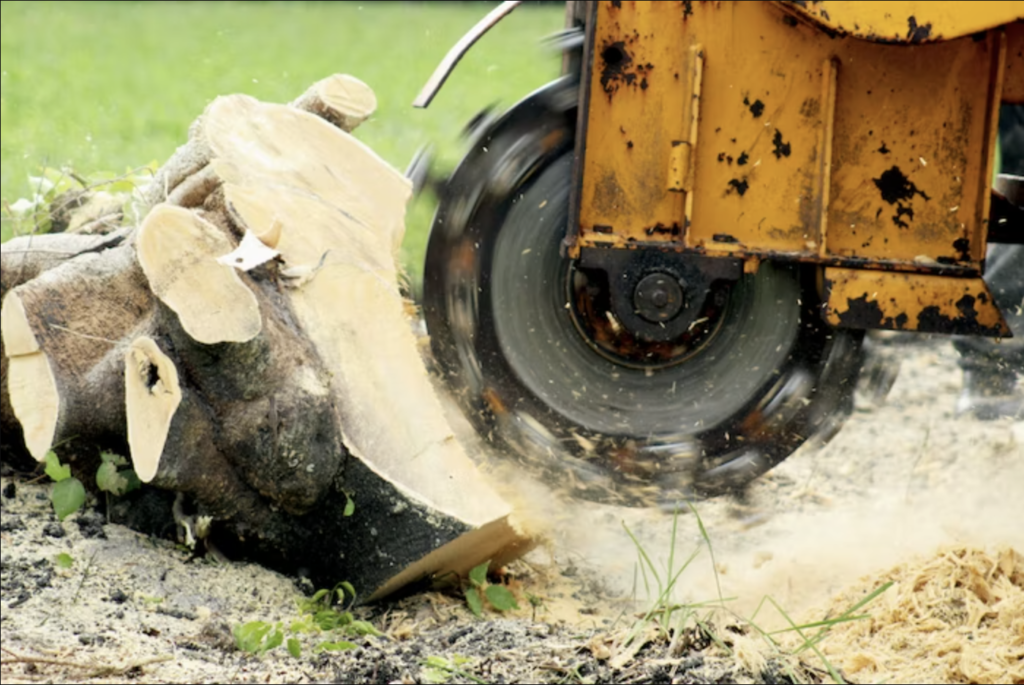 a machine grinding a stump into wood chips